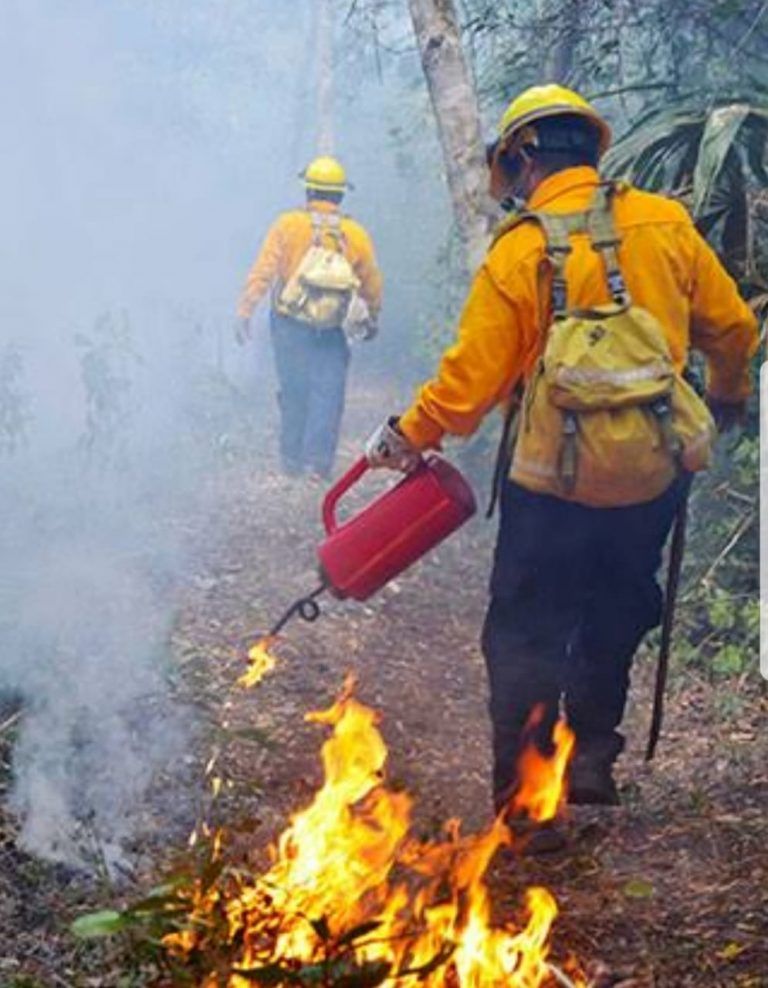 Se prevé fuerte temporada de incendios en Quintana Roo, ya suman 17 quemas hasta hoy