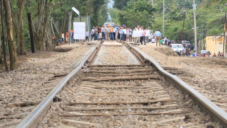 Semarnat autoriza fase 1 del Tren Maya, aunque se afectarán 800.95 hectáreas de selva