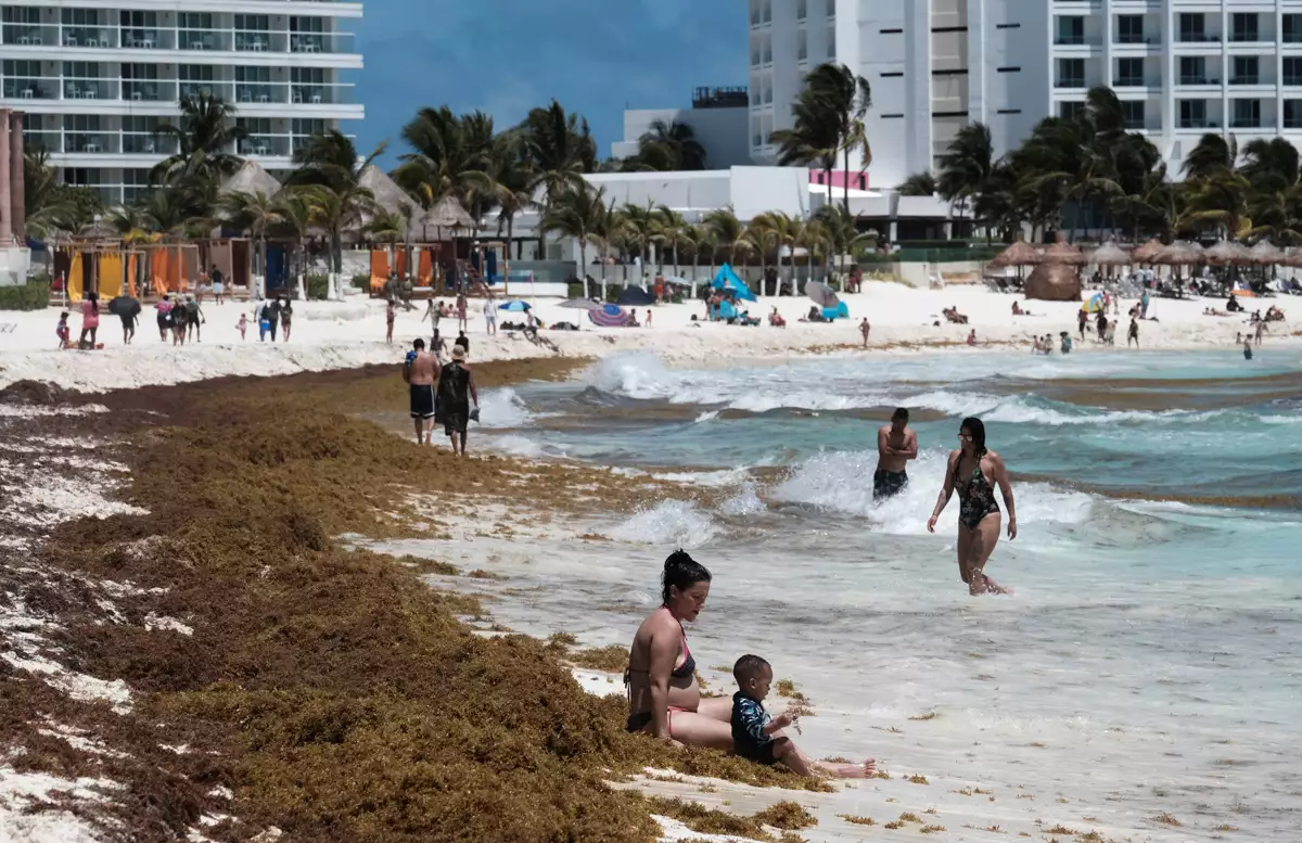 La temporada de sargazo se adelanta y amenaza con arruinar el verano