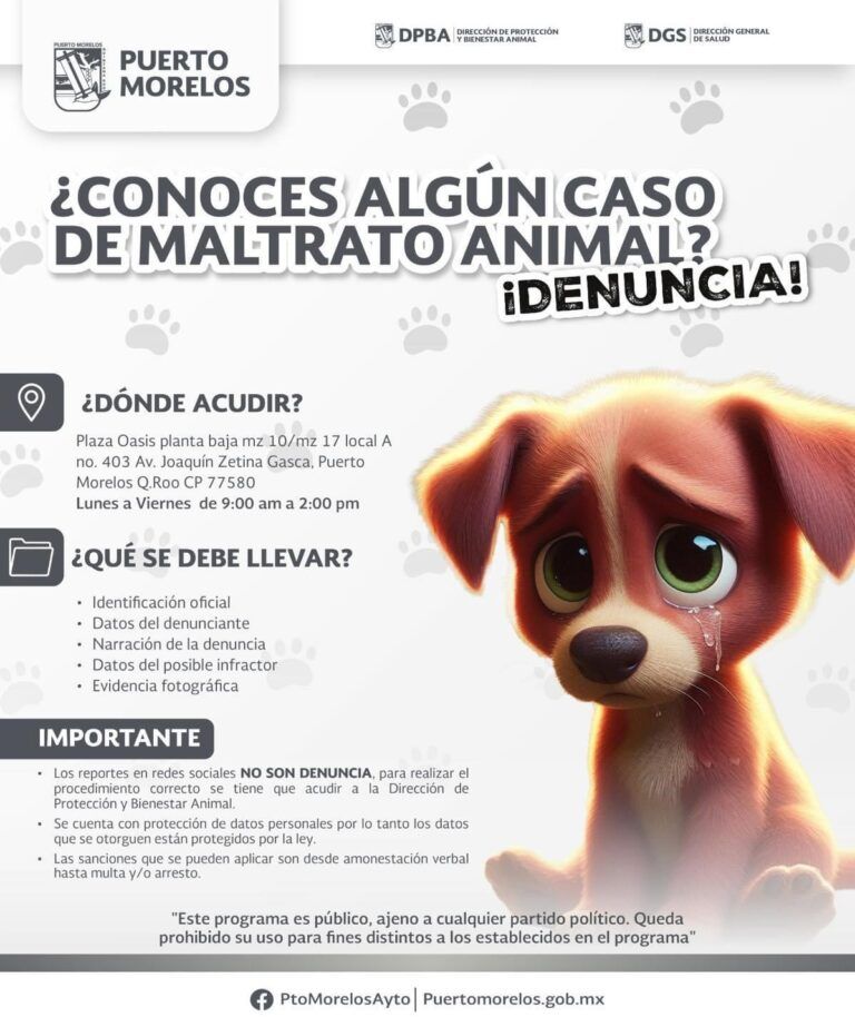 Gobierno de Puerto Morelos concientiza sobre trato responsable de mascotas