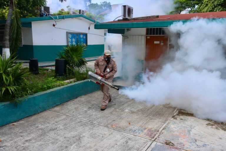 Previo al inicio de clases, fumigan escuelas en Puerto Morelos